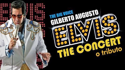 Elvis The  Concert Tribute