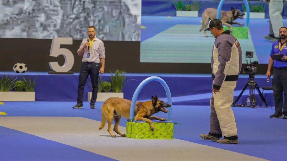 Olimpíadas CBKC - Maior Evento de Esportes Caninos do Brasil