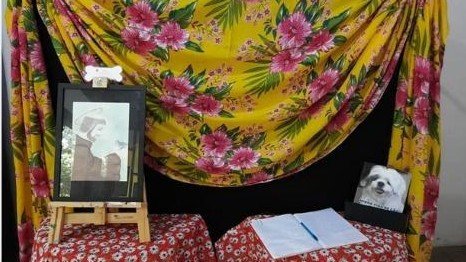 Exposição Temporária "Cães que amamos"