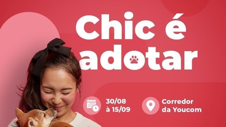 15ª edição da exposição "Chic é Adotar,"