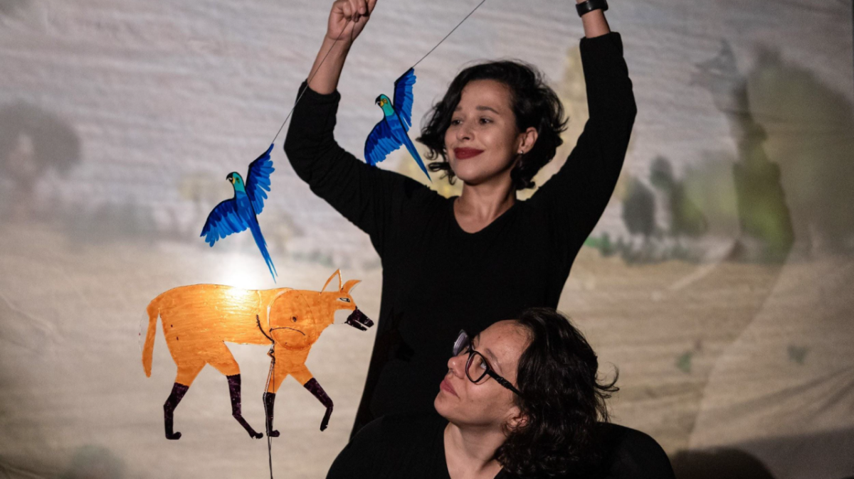 12º FIS - Festival Internacional de Teatro de Sombras | Sob o Céu do Cerrado