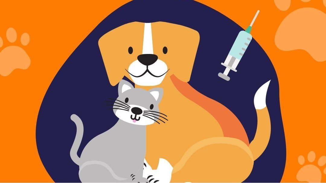 Vacinação Antirrábica Gratuita