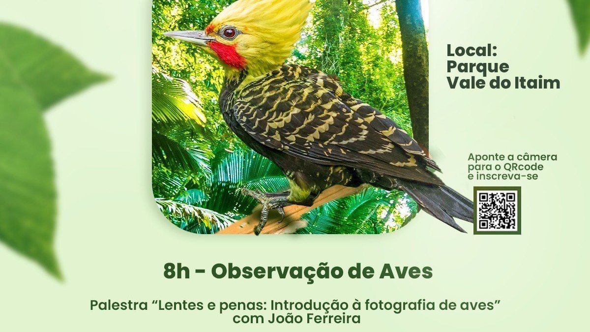 Palestra - Observação de Aves