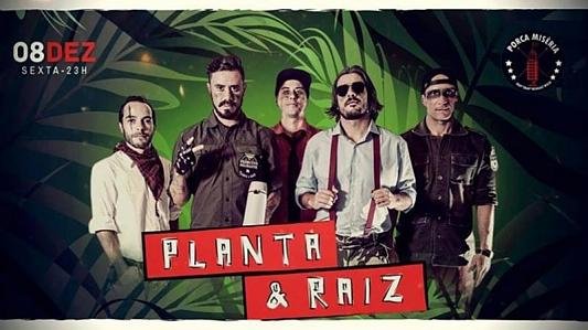 Planta & Raiz