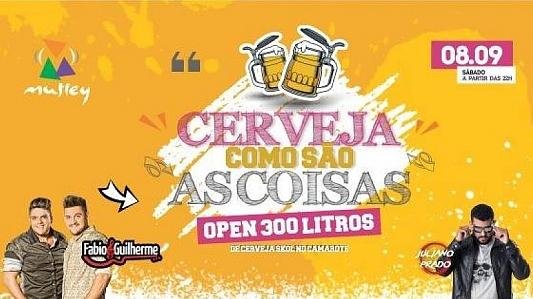 Cerveja como são as coisas!