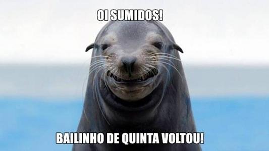 Bailinho de quinta voltou!