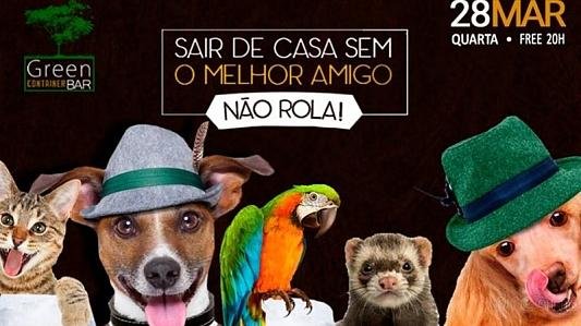 Quarta Animal