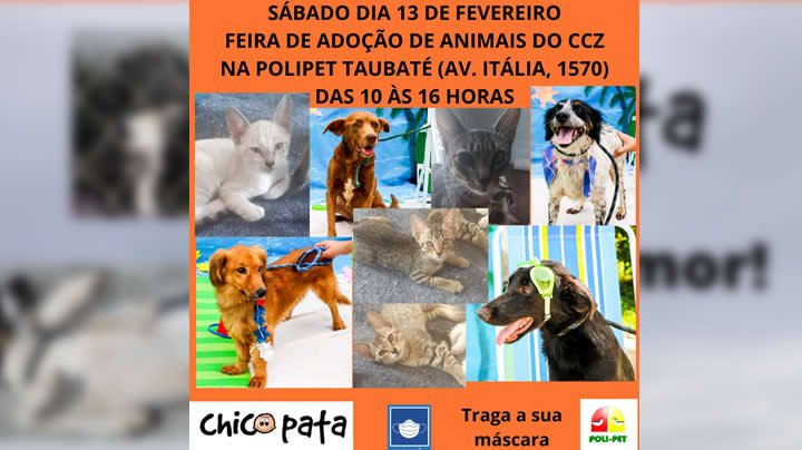 Feira de adoção dos animais de CCZ