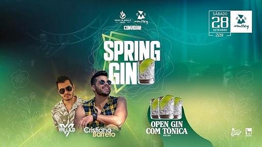 Spring Gin | OPEN GIN*