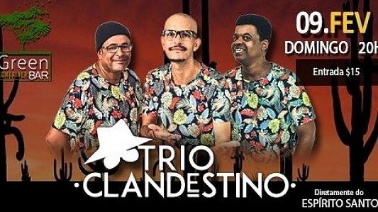 Trio Clandestino no Green - Forró