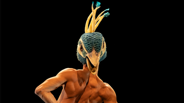 Espetáculo de Dança - Pavão Misterioso