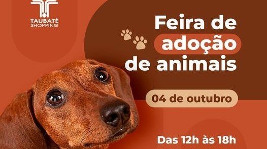 Feira de adoção de animais