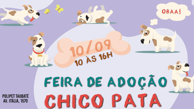 Feira de Adoção - Chico Pata