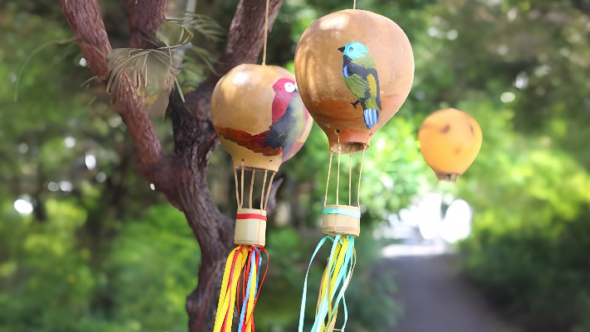 BRINQUEDOS DE NATUREZA: BALÕES DE CABAÇA