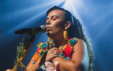 Show Musical Anná Canta Gonzagão