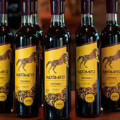 VINHO INDÓMITO 