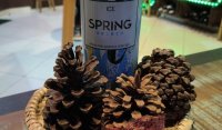 Vinho Frisante - Ice Spring -Branco