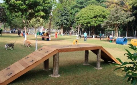 Melhores Lugares para Passear com o Seu Cão em Taubaté: Dicas de um Veterinário em Taubaté