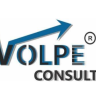 Volpe Consult Consultoria e Treinamento Empresarial