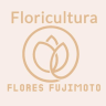 Flores Fujimoto Container