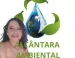 Taubaté: ALCÂNTARA AMBIENTAL