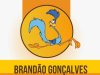 Brandão Gonçalves - Marido de Aluguel