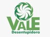 VALE DESENTUPIDORA 