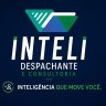 Inteli Despachante e Consultoria