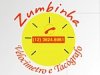 Zumbinha - Velocímetro e Tacógrafo
