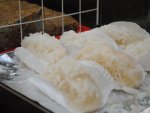 Fotos de 
