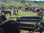 Fotos de 