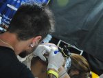 Fotos de 