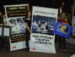Fotos de 