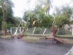 Fotos de 
