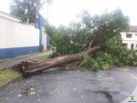 Fotos de 