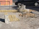 Fotos de 
