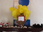 Fotos de 