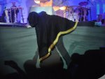 Fotos de 