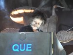 Fotos de 