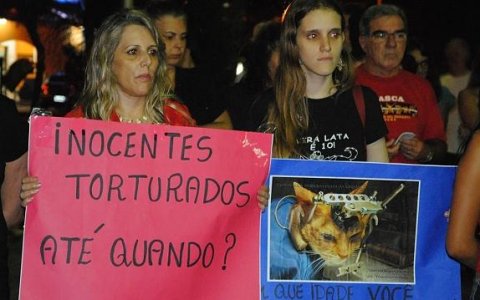 Manifestação pelos direitos animais