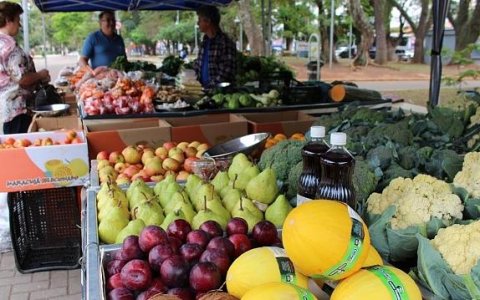 Produtos orgânicos são alternativa de alimentação saudável 