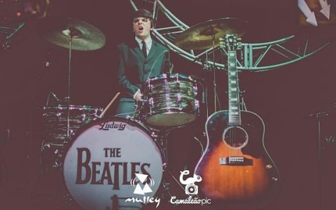 The Beatles Abbey Road - 08/10/2016 - Mutley