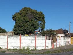 Terreno Parque São Luís