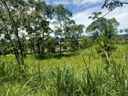 Terreno Chácaras Cataguá