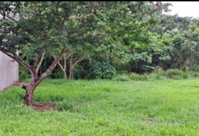 Foto Terreno Bairro dos Guedes