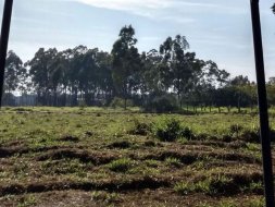 Área para alugar, 5600 m² por R$ 20.000,00/mês - Parque Senhor do Bonfim - Taubaté/SP