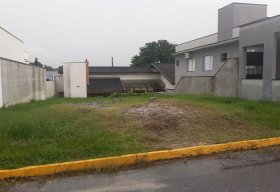 Foto Terreno à venda, 253 m² por R$ 190.000 - Caminho Novo - Tremembé/SP