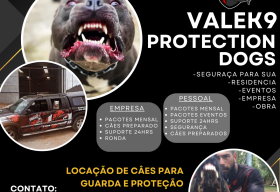 Foto VALEK9 PROTECTION DOGS - SEGURANÇA COM CÃES