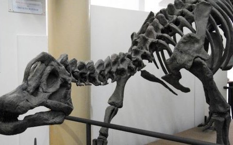Museu de História Natural de Taubaté