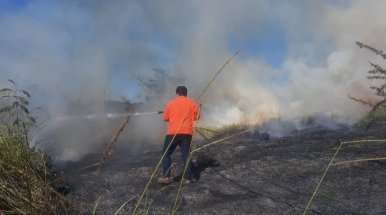 Defesa Civil e Corpo de Bombeiros combatem incêndio em vegetação na Estrada dos Remédios